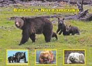 Cover von Bären in Nordamerika