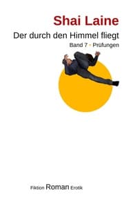 Cover von Der durch den Himmel fliegt