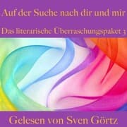 Cover von Das literarische Überraschungspaket 3: Auf der Suche nach dir und mir