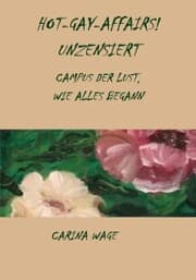 Cover von Hot-Gay-Affairs! Unzensiert