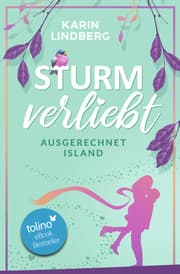 Cover von Sturmverliebt