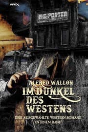 Cover von IM DUNKEL DES WESTENS