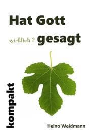 Cover von Hat Gott wirklich? gesagt kompakt