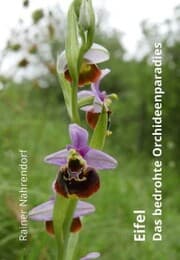 Cover von Eifel - Das bedrohte Orchideenparadies