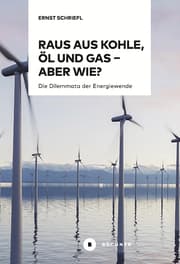 Cover von Raus aus Kohle, Öl und Gas - aber wie?