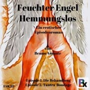 Cover von Feuchter Engel - Hemmungslos