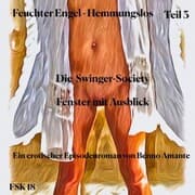 Cover von Feuchter Engel - Hemmungslos Teil 3