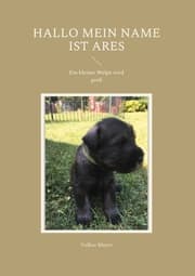 Cover von Hallo mein Name ist Ares