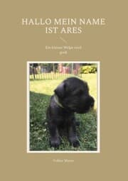 Cover von Hallo mein Name ist Ares