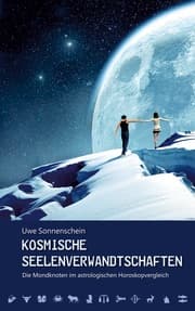 Cover von Kosmische Seelenverwandtschaften