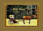 Cover von Bad Elster