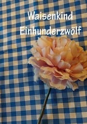 Cover von Waisenkind Einhundertzwölf