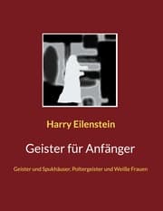 Cover von Geister für Anfänger