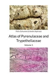 Cover von Atlas of Pyrenulaceae and Trypetheliaceae - Volume 1