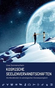Cover von Kosmische Seelenverwandtschaften