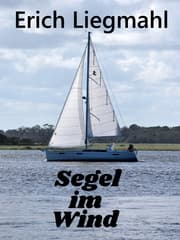 Cover von Segel im Wind