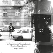 Cover von Im Angesicht der Vergänglichkeit Drachen fliegen lassen