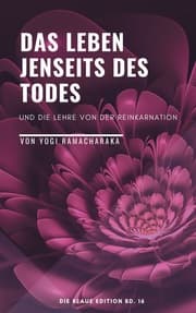 Cover von Das Leben jenseits des Todes