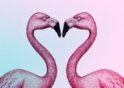 Cover von Making Love - Wie Beziehungen funktionieren
