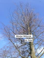 Cover von Blinder Millionär