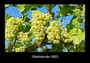 Cover von Obstkalender 2022 Fotokalender DIN A3