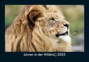 Cover von Löwen in der Wildnis	 2023 Fotokalender DIN A5
