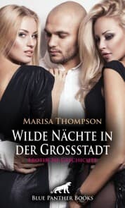 Cover von Wilde Nächte in der Großstadt , Erotische Geschichte