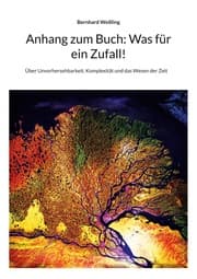 Cover von Anhang zum Buch: Was für ein Zufall!