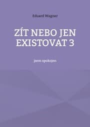Cover von Zít nebo jen existovat 3