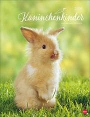 Cover von Kaninchenkinder Posterkalender 2026