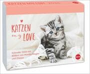 Cover von Katzen my love Tagesabreißkalender 2026