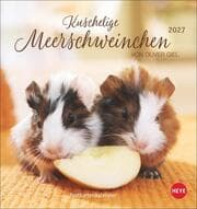 Cover von Kuschelige Meerschweinchen 2027
