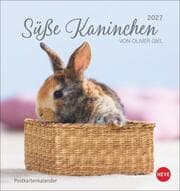 Cover von Süße Kaninchen 2027