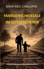 Cover von Familienschicksale im Zeitgeschehen