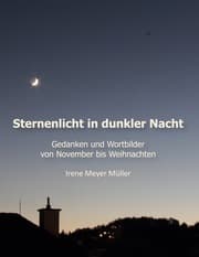Cover von Sternenlicht in dunkler Nacht
