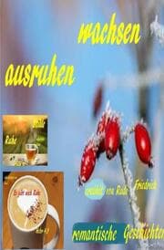 Cover von romantische Geschichten erzählt von Rudi Friedrich