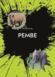 Cover von Pembe