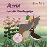 Cover von Arvid und die Zaubergeige