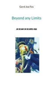 Cover von Beyond any Limits