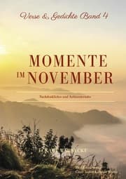 Cover von Momente im November