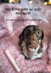 Cover von Wo bitte geht es zum Nordpol?