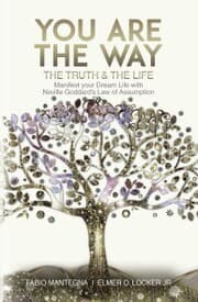 Cover von You are the Way