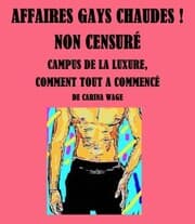 Cover von Affaires gays chaudes ! Non censuré