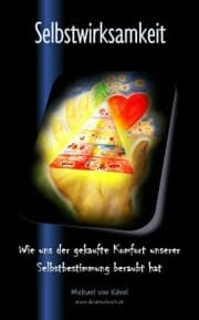 Cover von Selbstwirksamkeit