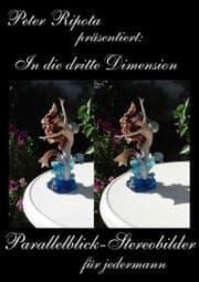 Cover von In die dritte Dimension-2