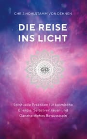 Cover von Die Reise ins Licht