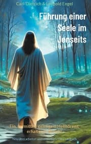 Cover von Führung einer Seele im Jenseits