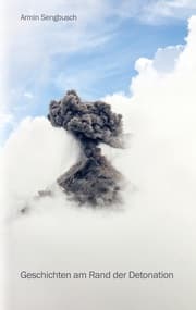 Cover von Geschichten am Rand der Detonation