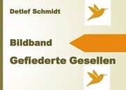 Cover von Gefiederte Gesellen