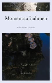 Cover von Momentaufnahmen